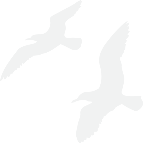 hotel albatross
